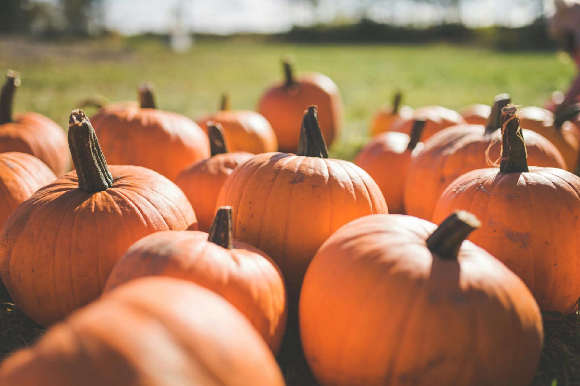 Pumpor